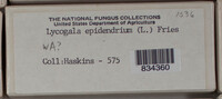 Image Associated With the Occurence
